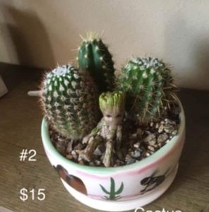 Meet your Posher, Aaron